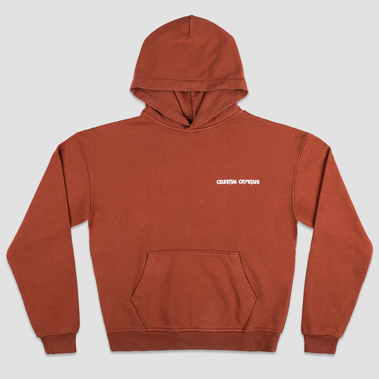 A Beautiful End Hoodie - Brown