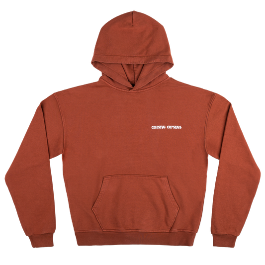 A Beautiful End Hoodie - Brown